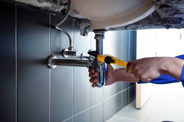 Best Plumbing System Maintenance  in Riceville, TN